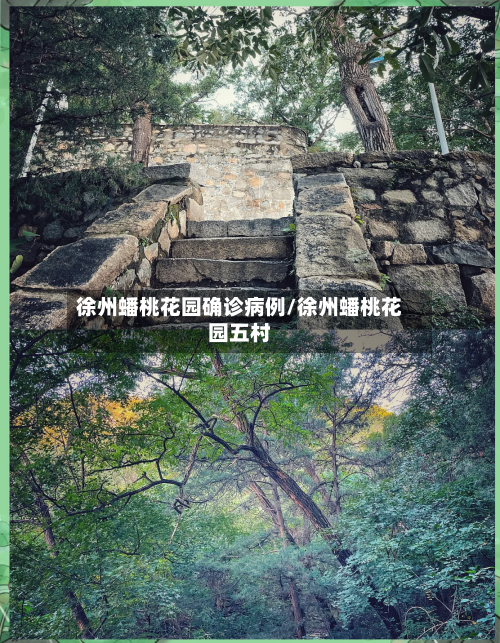 徐州蟠桃花园确诊病例/徐州蟠桃花园五村
