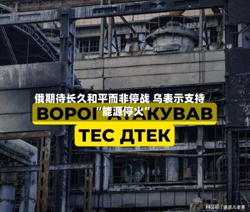 俄期待长久和平而非停战 乌表示支持“能源停火	”-第2张图片