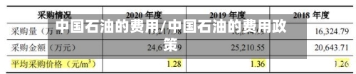 中国石油的费用/中国石油的费用政策-第1张图片