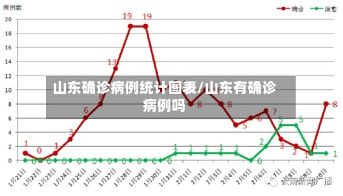山东确诊病例统计图表/山东有确诊病例吗-第2张图片