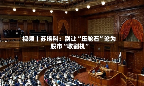 视频丨苏培科：别让“压舱石”沦为股市“收割机”