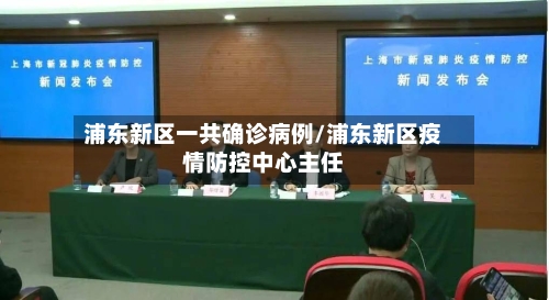浦东新区一共确诊病例/浦东新区疫情防控中心主任