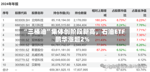 “三桶油	”集体创阶段新高	，石油ETF鹏华涨超2%-第2张图片