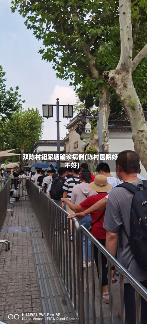 双陈村钮家塘确诊病例(陈村医院好不好)-第2张图片