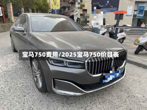 宝马750费用/2025宝马750价目表-第2张图片