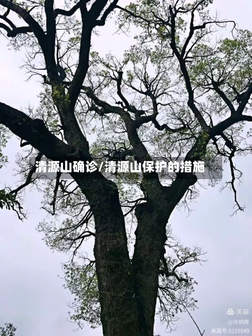 清源山确诊/清源山保护的措施
