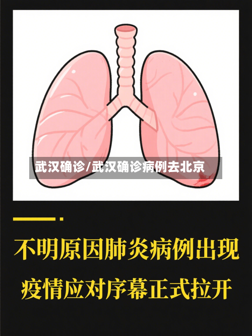 武汉确诊/武汉确诊病例去北京-第2张图片