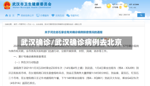 武汉确诊/武汉确诊病例去北京-第3张图片
