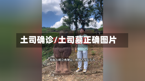 土司确诊/土司墓正确图片-第2张图片