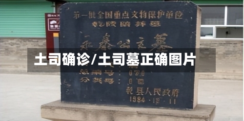 土司确诊/土司墓正确图片-第1张图片
