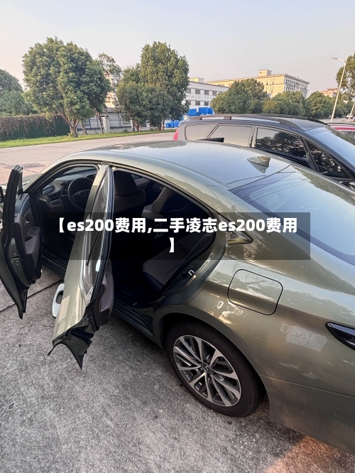 【es200费用,二手凌志es200费用】