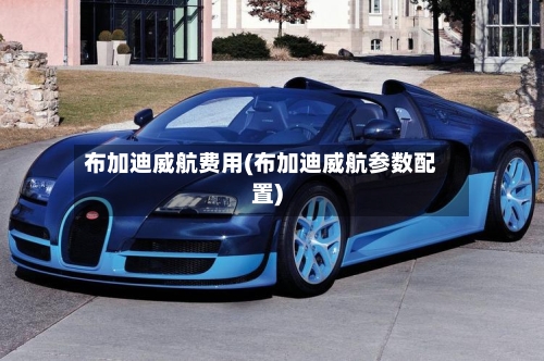 布加迪威航费用(布加迪威航参数配置)-第2张图片