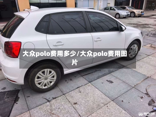 大众polo费用多少/大众polo费用图片