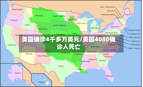 美国确诊4千多万美元/美国4080确诊人死亡-第1张图片