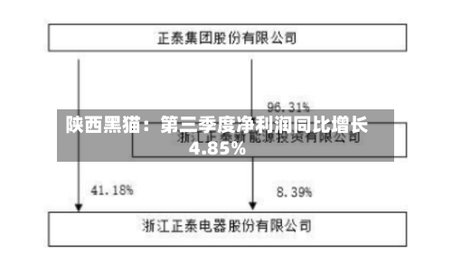 陕西黑猫：第三季度净利润同比增长4.85%-第2张图片