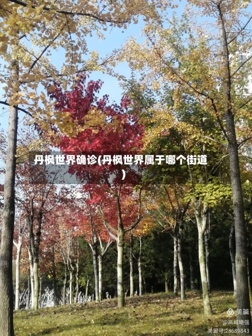 丹枫世界确诊(丹枫世界属于哪个街道)