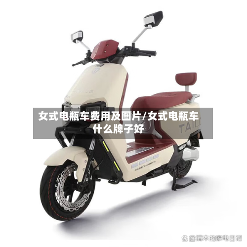 女式电瓶车费用及图片/女式电瓶车什么牌子好