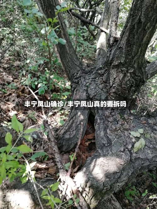 丰宁凤山确诊/丰宁凤山真的要拆吗