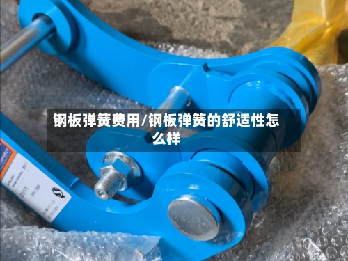 钢板弹簧费用/钢板弹簧的舒适性怎么样-第2张图片