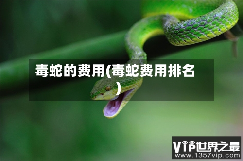 毒蛇的费用(毒蛇费用排名)-第2张图片