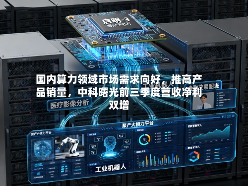 国内算力领域市场需求向好，推高产品销量	，中科曙光前三季度营收净利双增-第2张图片