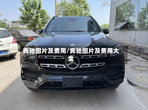 奔驰图片及费用/奔驰图片及费用大全