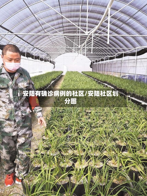 安陆有确诊病例的社区/安陆社区划分图-第2张图片