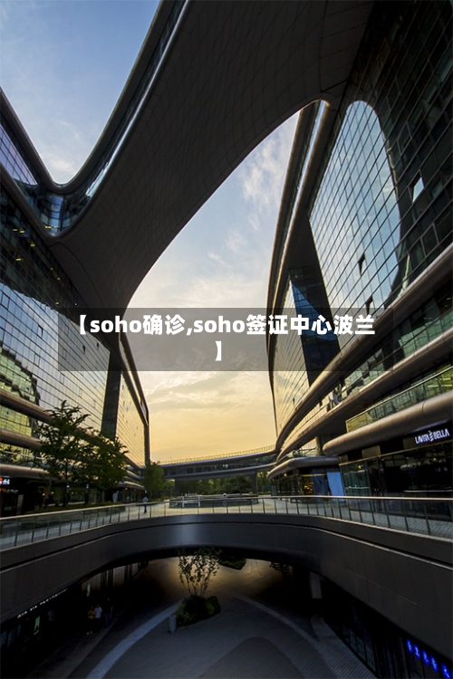 【soho确诊,soho签证中心波兰】