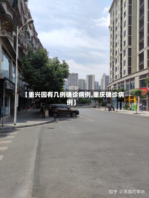【重兴园有几例确诊病例,重庆确诊病例】-第2张图片