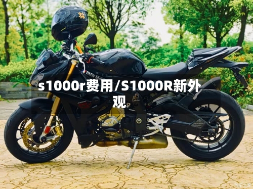 s1000r费用/S1000R新外观-第2张图片