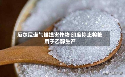 厄尔尼诺气候损害作物 印度停止将糖用于乙醇生产-第1张图片