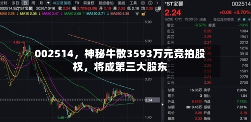 002514，神秘牛散3593万元竞拍股权	，将成第三大股东-第3张图片