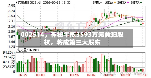 002514	，神秘牛散3593万元竞拍股权，将成第三大股东-第2张图片