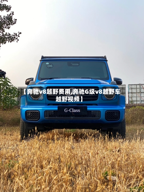 【奔驰v8越野费用,奔驰G级v8越野车越野视频】-第3张图片