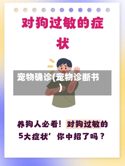 宠物确诊(宠物诊断书)-第2张图片