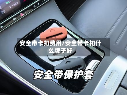 安全带卡扣费用/安全带卡扣什么牌子好-第2张图片