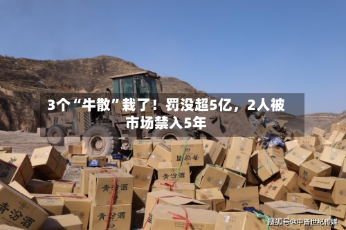 3个“牛散”栽了！罚没超5亿，2人被市场禁入5年