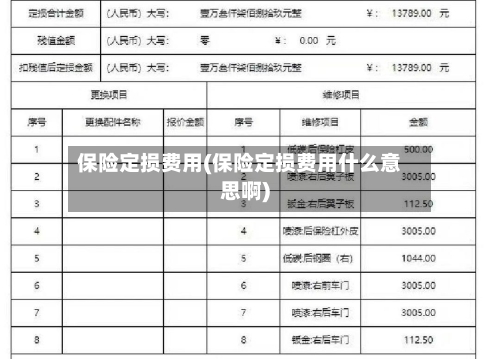 保险定损费用(保险定损费用什么意思啊)