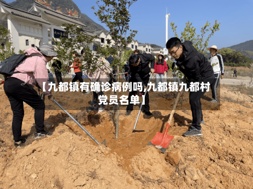 【九都镇有确诊病例吗,九都镇九都村党员名单】