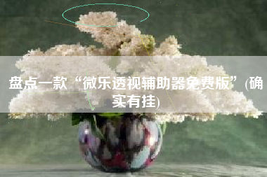 最新教你“微乐陕西捉老麻子透视挂!辅助神器插件下载